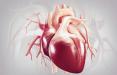 سلامت قلب,اخبار پزشکی,خبرهای پزشکی,مشاوره پزشکی