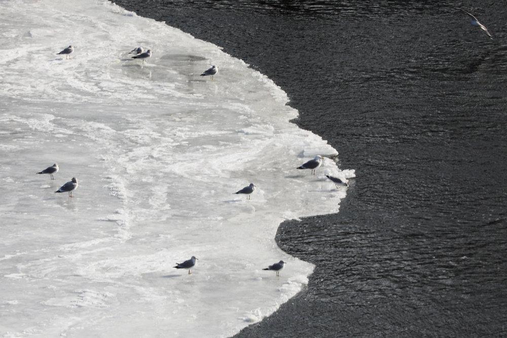 عکس سفینه فضایی روی رودخانه یخ‌زده,تصاویرسفینه فضایی روی رودخانه یخ‌زده,عکس سفینه فضایی روی رودخانه یخ‌زده درایالت مین آمریکا