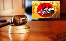 قاچاقچیان ۱۶۰ هزار لیتر گازوئیل، ۷۳۲ میلیون تومان جریمه شدند سازمان تعزیرات,اخبار اجتماعی,خبرهای اجتماعی,حقوقی انتظامی