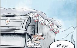 کاریکاتورکشف مرغ زنده قاچاق,کاریکاتور,عکس کاریکاتور,کاریکاتور اجتماعی