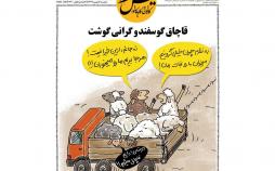 کارتون قاچاق گوسفند,کاریکاتور,عکس کاریکاتور,کاریکاتور اجتماعی