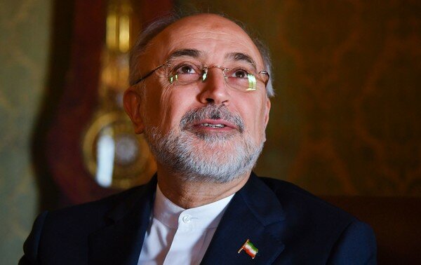 علی اکبر صالحی,اخبار سیاسی,خبرهای سیاسی,سیاست خارجی