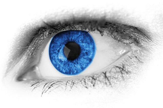 بینایی بینایی,اخبار پزشکی,خبرهای پزشکی,تازه های پزشکی