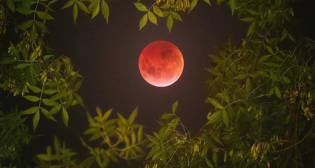 ماه گرفتگی,اخبار علمی,خبرهای علمی,نجوم و فضا