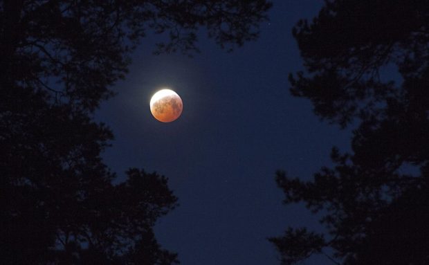 ماه گرفتگی,اخبار علمی,خبرهای علمی,نجوم و فضا