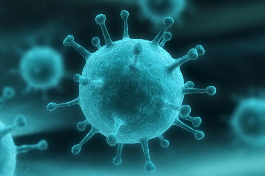 ویروس آنفولانزا,اخبار پزشکی,خبرهای پزشکی,بهداشت