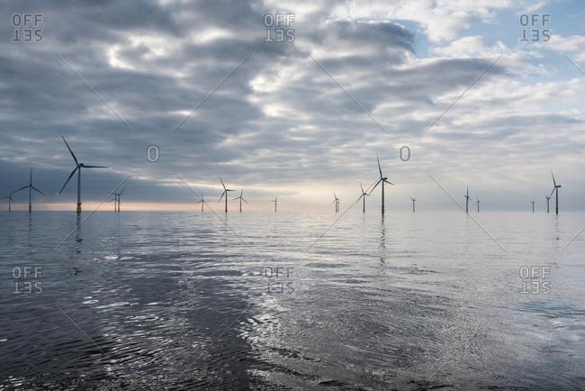 سبک زندگی سبک زندگی,اخبار اجتماعی,خبرهای اجتماعی,محیط زیست