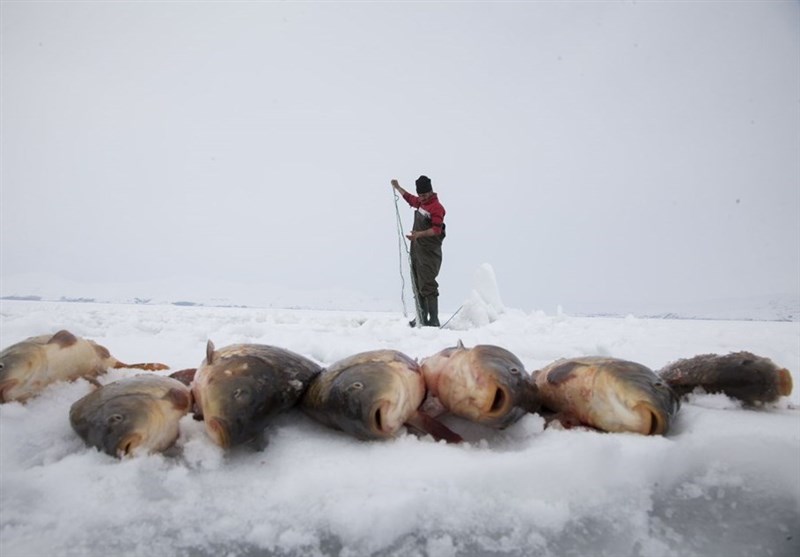 ماهیگیری در برکه‌های یخ‌زده ترکیه,اخبار جالب,خبرهای جالب,خواندنی ها و دیدنی ها