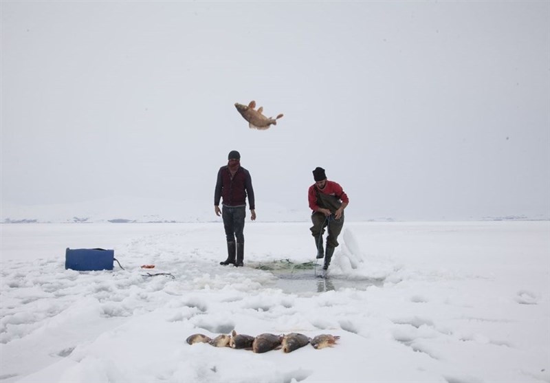ماهیگیری در برکه‌های یخ‌زده ترکیه,اخبار جالب,خبرهای جالب,خواندنی ها و دیدنی ها
