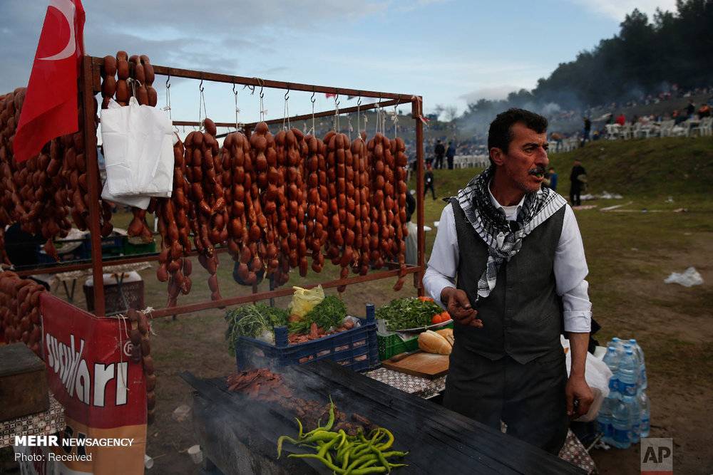 عکس مبارزه شترها در سلکوک ترکیه,تصاویرمبارزه شترها در سلکوک ترکیه,عکس مبارزه شترها