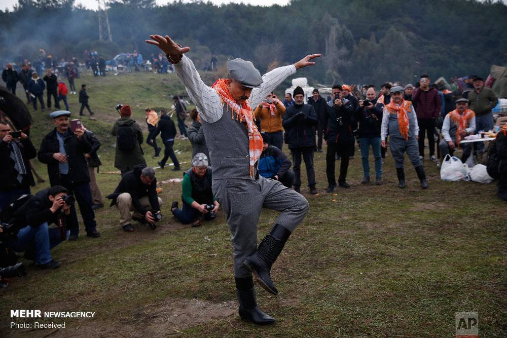 عکس مبارزه شترها در سلکوک ترکیه,تصاویرمبارزه شترها در سلکوک ترکیه,عکس مبارزه شترها