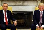 اردوغان و ترامپ,اخبار سیاسی,خبرهای سیاسی,خاورمیانه