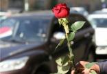 گل,اخبار اجتماعی,خبرهای اجتماعی,جامعه