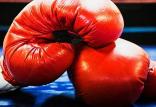 تورنمنت بین المللی بوکس در مجارستان,اخبار ورزشی,خبرهای ورزشی,ورزش
