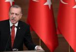 رجب طیب اردوغان,اخبار سیاسی,خبرهای سیاسی,خاورمیانه