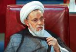 هاشم هاشم زاده هریسی,اخبار اجتماعی,خبرهای اجتماعی,خانواده و جوانان
