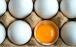 اتحادیه سراسری مرغداران مرغ تخم‌گذار
