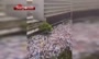 فیلم/ تظاهرات گسترده مخالفان دولت مادورو در ونزوئلا 