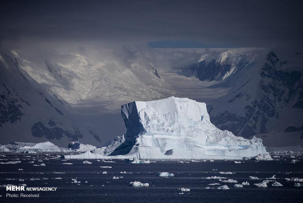 تصاویر حیات وحش قطب جنوب,عکس های حیات وحش قطب جنوب,عکسهای غروب آفتاب در قطب جنوب