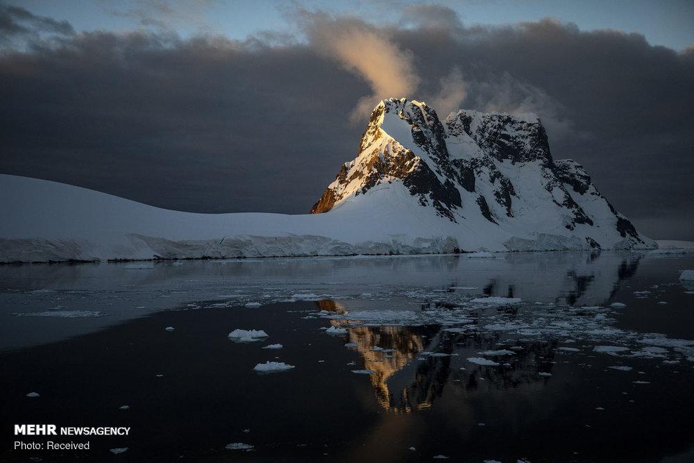 تصاویر حیات وحش قطب جنوب,عکس های حیات وحش قطب جنوب,عکسهای غروب آفتاب در قطب جنوب