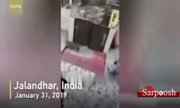فیلم/ حمله پلنگ خشمگین به اهالی یک روستا در هند