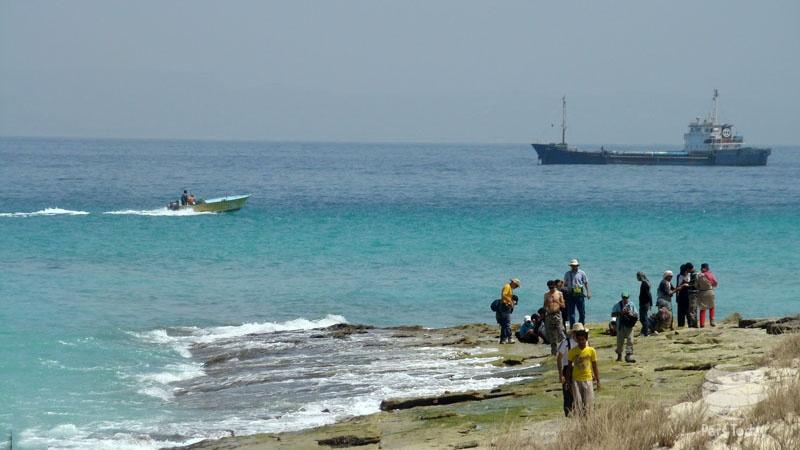 جزیره شیدور,اخبار اجتماعی,خبرهای اجتماعی,محیط زیست