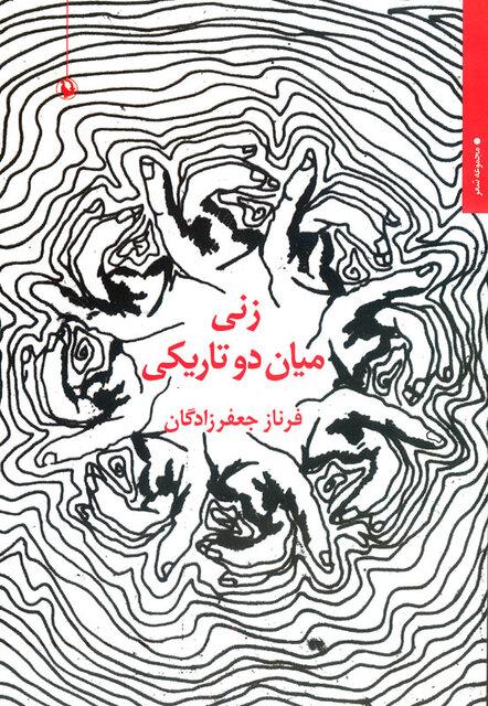 کتاب تاریخ، متن، نظریه,اخبار فرهنگی,خبرهای فرهنگی,کتاب و ادبیات