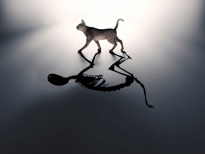 یگانگی کوانتومی,اخبار علمی,خبرهای علمی,نجوم و فضا