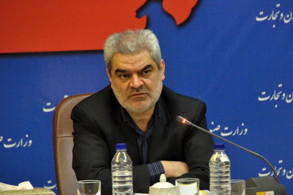 محسن صالحی نیا,اخبار اقتصادی,خبرهای اقتصادی,صنعت و معدن