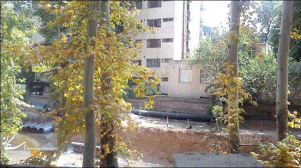 باغات تهران باغات تهران,اخبار اجتماعی,خبرهای اجتماعی,شهر و روستا