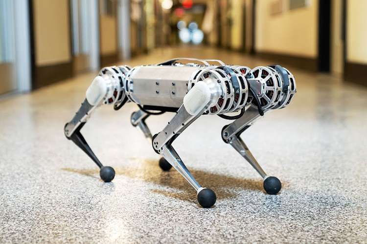 ربات چهارپای مینی چیتا,اخبار علمی,خبرهای علمی,اختراعات و پژوهش