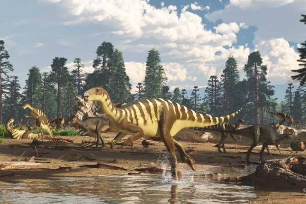 کشف گونه جدیدی از دایناسور در استرالیا,اخبار علمی,خبرهای علمی,طبیعت و محیط زیست