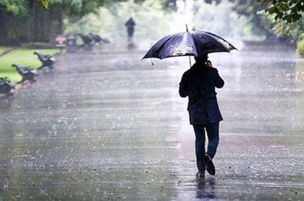 بارش باران در شمال,اخبار اجتماعی,خبرهای اجتماعی,محیط زیست