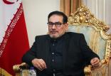علی شمخانی,اخبار سیاسی,خبرهای سیاسی,اخبار سیاسی ایران