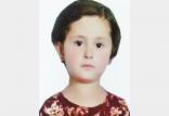گم شدن دختربچه,اخبار حوادث,خبرهای حوادث,جرم و جنایت
