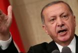 رجب طیب اردوغان,اخبار سیاسی,خبرهای سیاسی,خاورمیانه