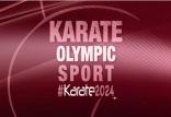 کاراته,اخبار ورزشی,خبرهای ورزشی,ورزش