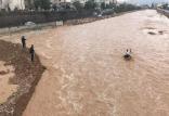 سیلاب در سیستان و بلوچستان,اخبار اجتماعی,خبرهای اجتماعی,محیط زیست