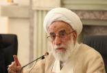 آیت الله احمد جنتی,اخبار سیاسی,خبرهای سیاسی,اخبار سیاسی ایران