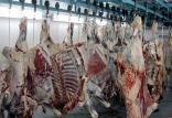 گوشت قرمز,اخبار اقتصادی,خبرهای اقتصادی,کشت و دام و صنعت