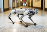 ربات چهارپای مینی چیتا,اخبار علمی,خبرهای علمی,اختراعات و پژوهش