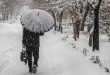 برف,اخبار اجتماعی,خبرهای اجتماعی,محیط زیست