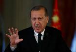 رجب طیب اردوغان,اخبار سیاسی,خبرهای سیاسی,خاورمیانه