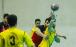 لیگ برتر هندبال ایران