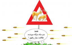 کاریکاتور محیط بانان,کاریکاتور,عکس کاریکاتور,کاریکاتور اجتماعی