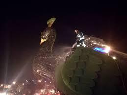 المان طاووس مستقر در دروازه قرآن شیراز,اخبار اجتماعی,خبرهای اجتماعی,شهر و روستا