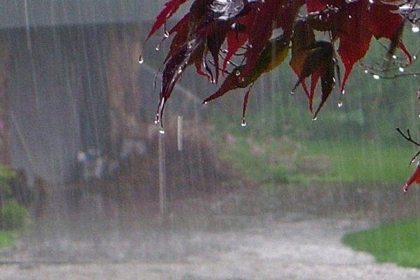 جمع آوری آب باران جمع آوری آب باران,اخبار اجتماعی,خبرهای اجتماعی,محیط زیست