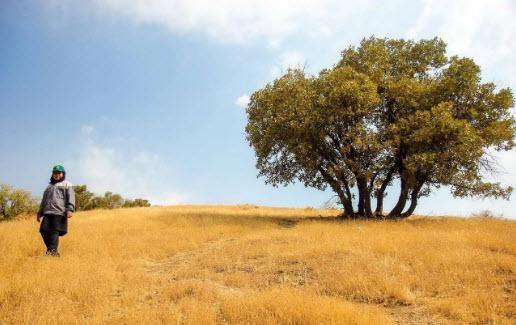 محیطبان خانم محیطبان خانم,اخبار اجتماعی,خبرهای اجتماعی,محیط زیست