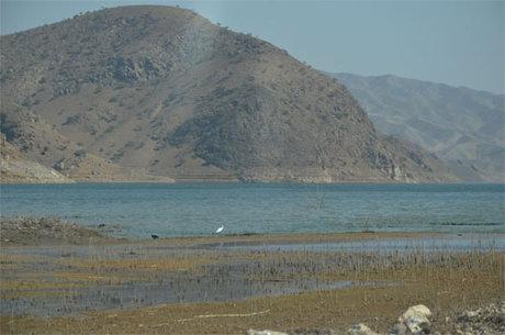 سد امیرکبیر,اخبار اقتصادی,خبرهای اقتصادی,نفت و انرژی