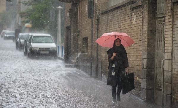 بارش باران در مشهد,اخبار اجتماعی,خبرهای اجتماعی,شهر و روستا